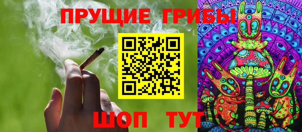 Псилоцибиновые грибы Cubensis Добрянка