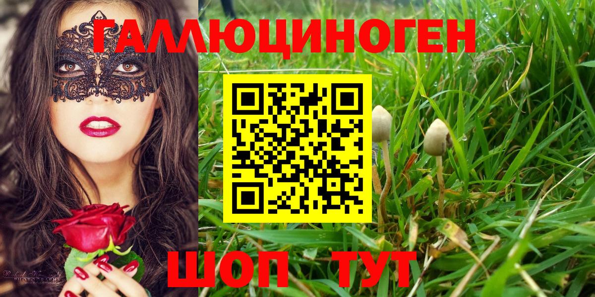 Псилоцибиновые грибы мицелий  Галлюциногенные грибы MAGIC MUSHROOMS  Добрянка  Вход с VPN 